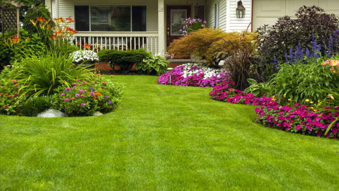The Amazing Features and Aspects Of Landscaping That Makes It Worthwhile!