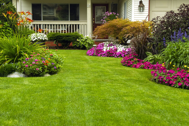 The Amazing Features and Aspects Of Landscaping That Makes It Worthwhile!