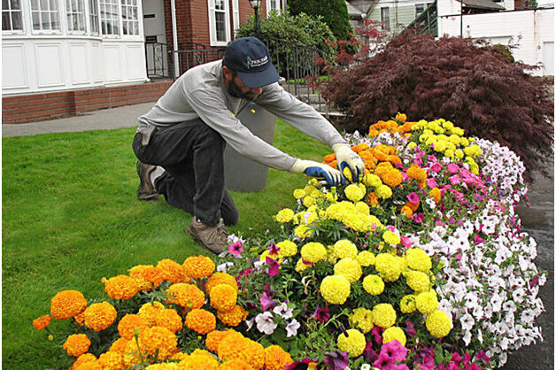 Go For Landscapers in Toronto to Spruce Up Your Home