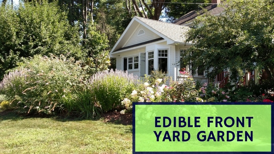 Edible Front Yard Garden
