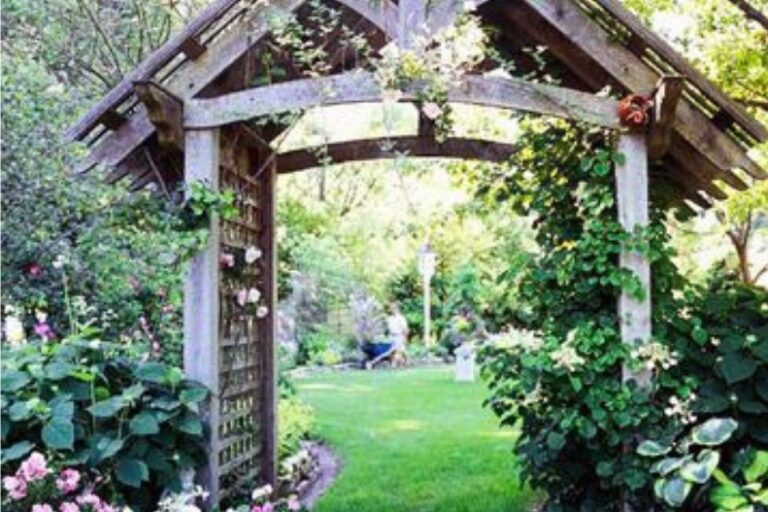 pergola designs