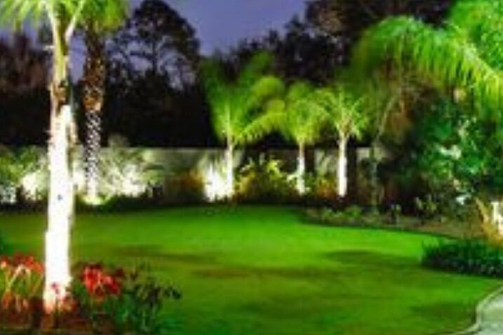 Trees Landscaping