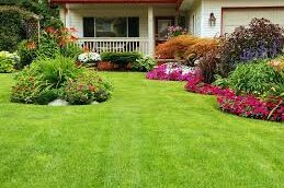 Principles of Colors for Landscape Design