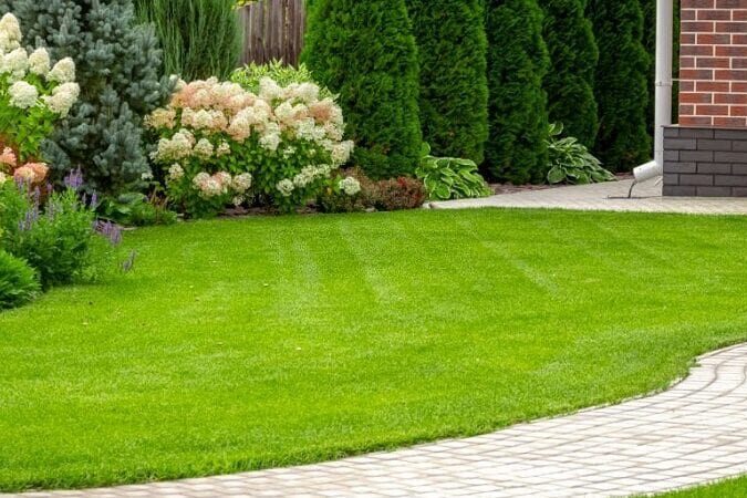 What Does Landscape Installation Entail?