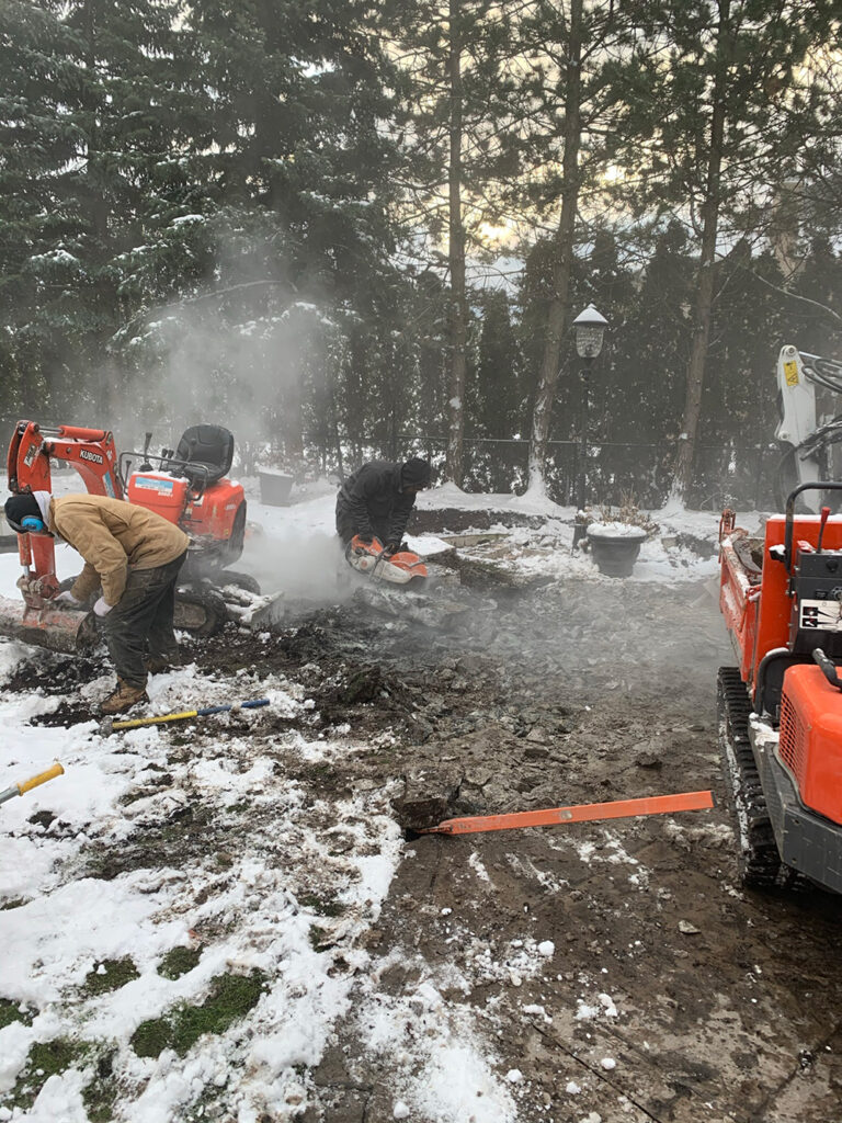 Deer Chase backyard - outdoor seating area next to pool with modern furniture and decorative plants.