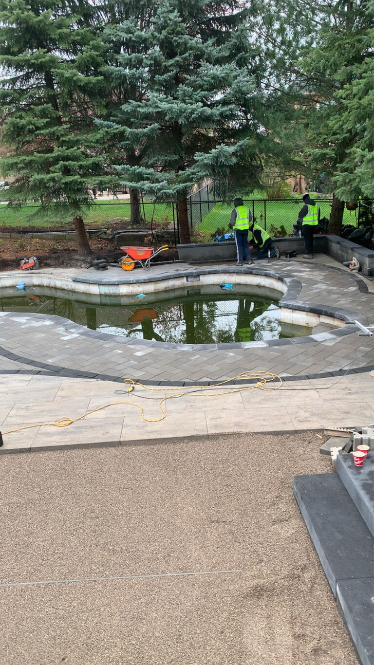 Deer Chase backyard - outdoor lounge area with modern furniture and surrounding plants.