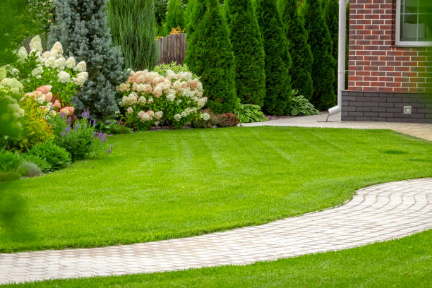 15 Ground Rules To Follow To Revamp Your Front Yard Landscape