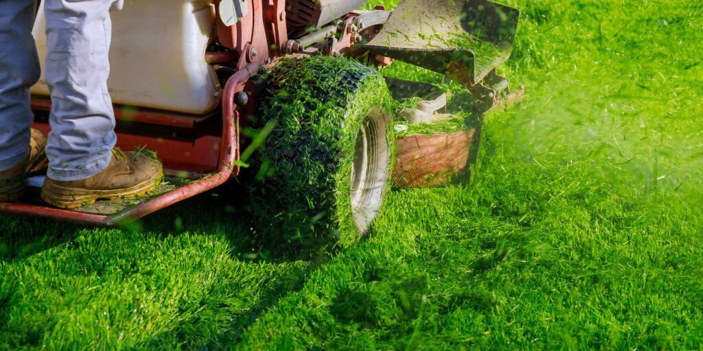 Landscape Maintenance in Toronto Landscape Maintenance in Toronto