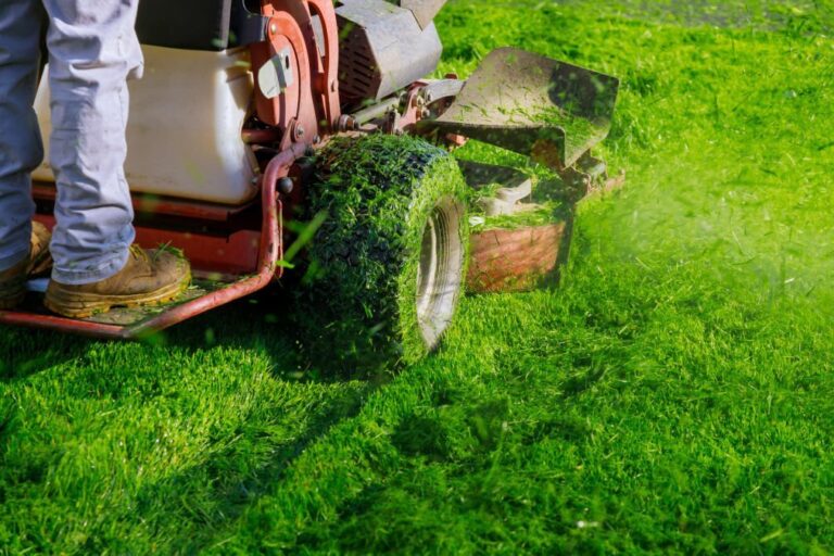 Landscape Maintenance in Toronto