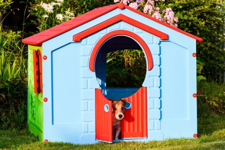 Dog-Friendly Backyard Landscape