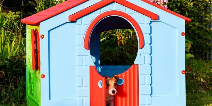 Dog-Friendly Backyard Landscape