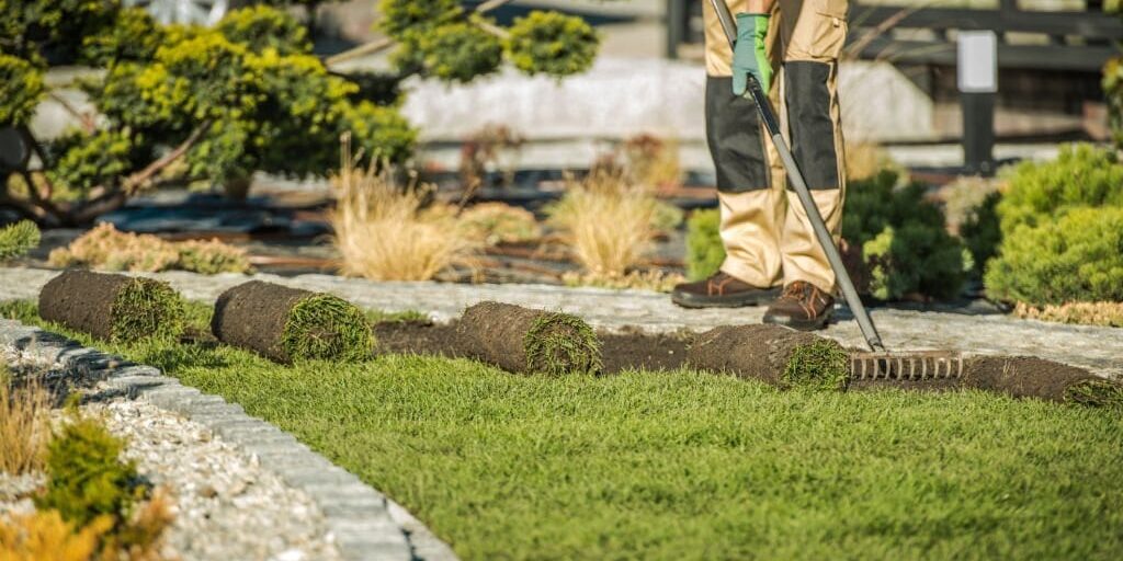 What Your Friendly Neighborhood Landscaper Won’t Tell You!