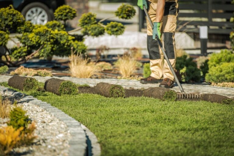 What Your Friendly Neighborhood Landscaper Won’t Tell You!