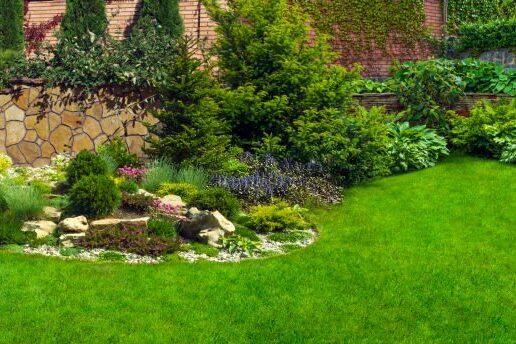 How to Do Backyard Landscaping for Climate Change