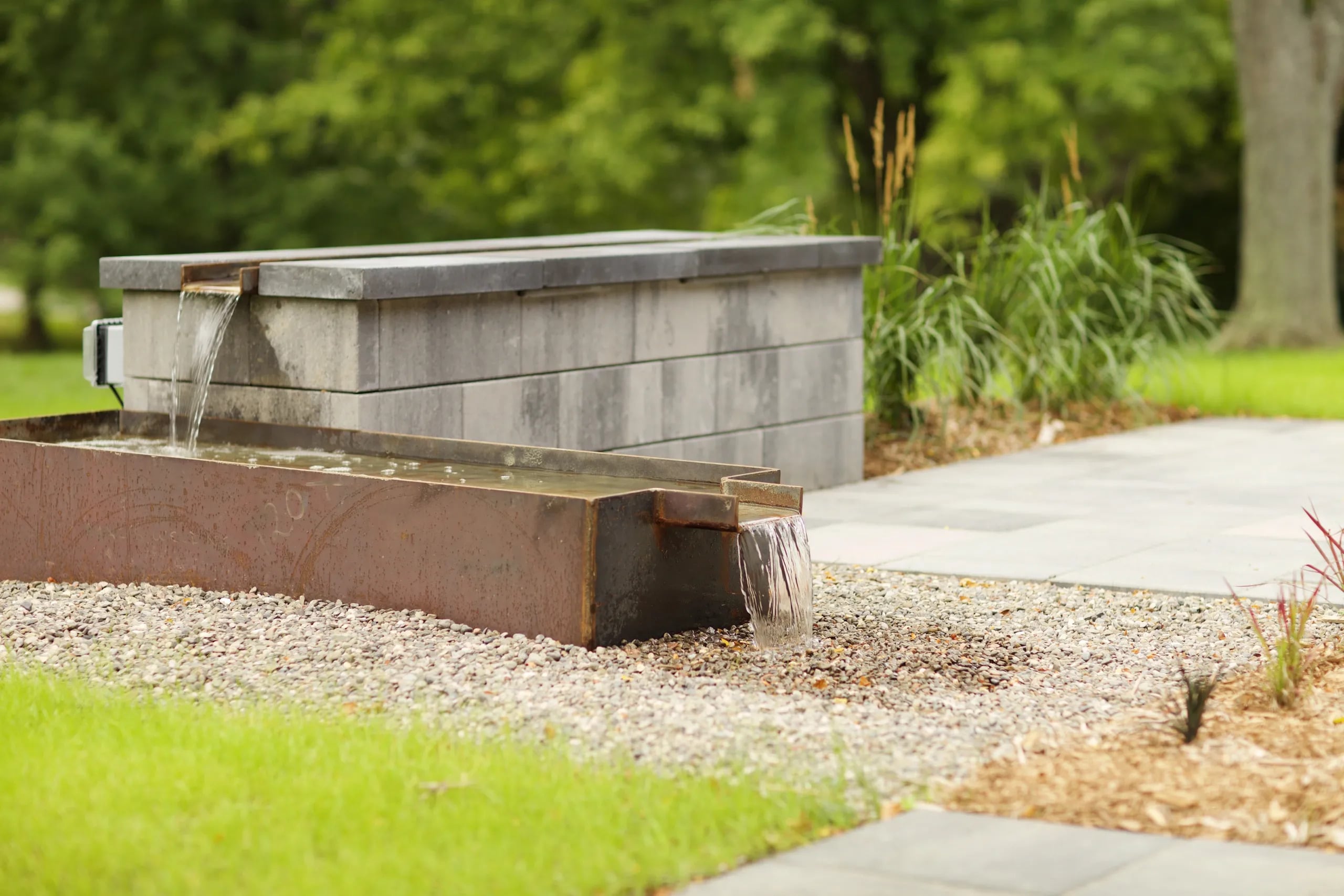 How to Design a Toronto Landscape That Attracts Pollinators and Wildlife